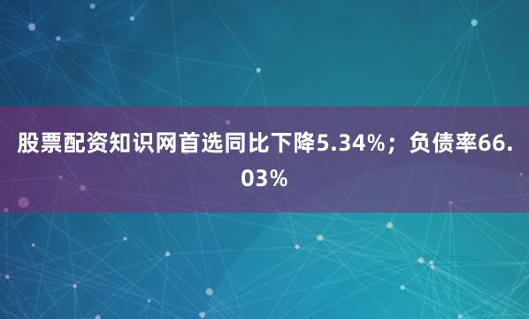 股票配资知识网首选同比下降5.34%；负债率66.03%