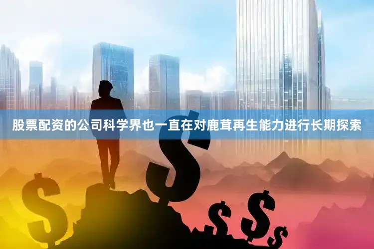 股票配资的公司科学界也一直在对鹿茸再生能力进行长期探索