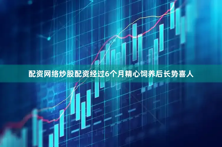 配资网络炒股配资经过6个月精心饲养后长势喜人