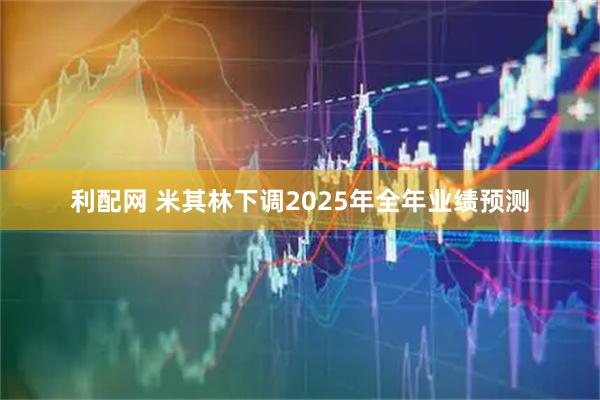 利配网 米其林下调2025年全年业绩预测